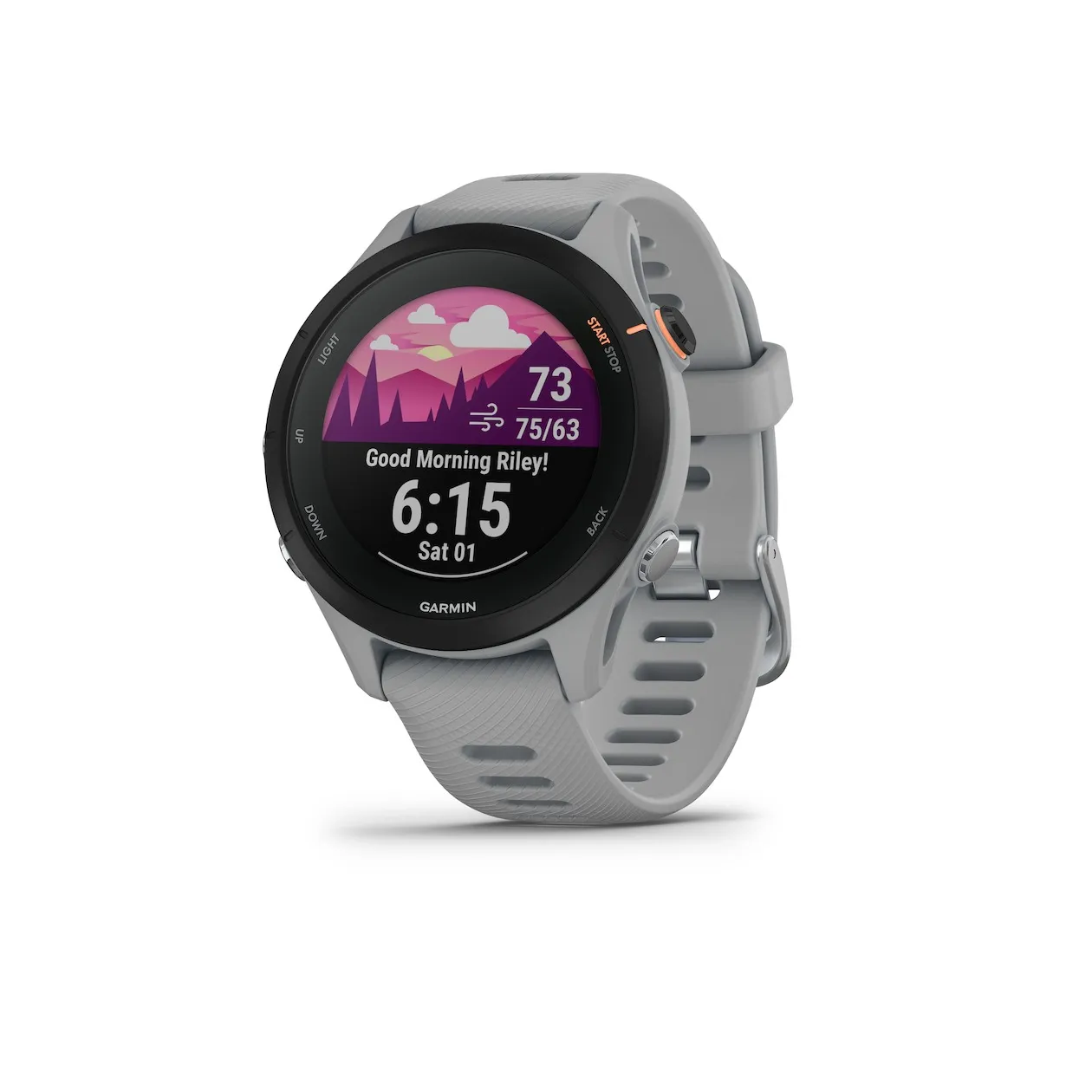 Garmin Forerunner 255S Grijs