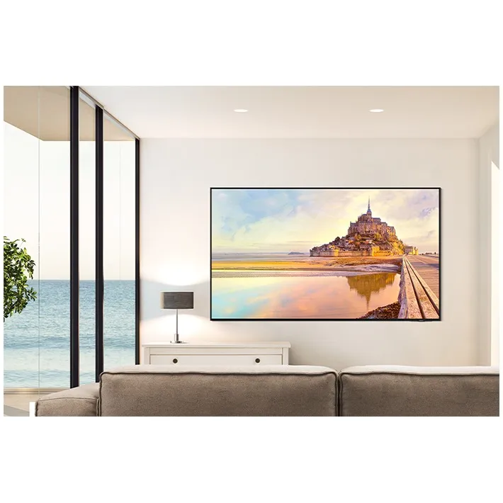 Samsung Neo QLED 4K 55QN93D (2024)